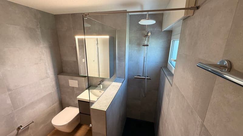 Magnifique appartement de 3,5 pièces au 2e étage (9)
