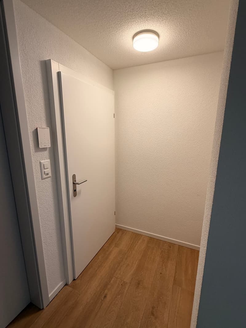 Magnifique appartement de 3,5 pièces au 2e étage (11)