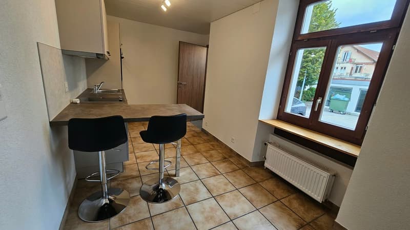 Appartement de 1,5 pièces au rez supérieur (2)
