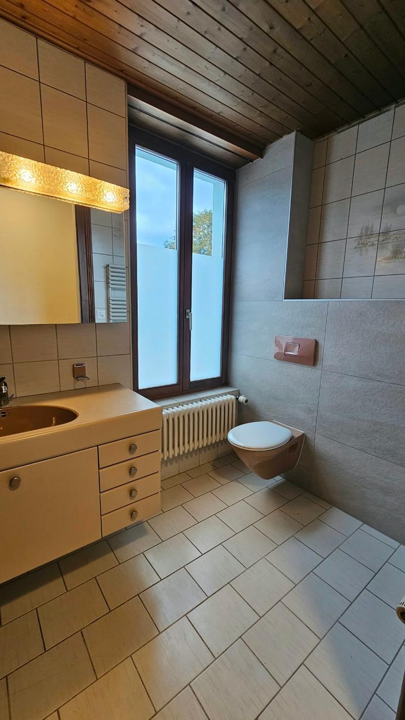 Très grand appartement de 3,5 pièces avec terrasse de 48m2 (13)