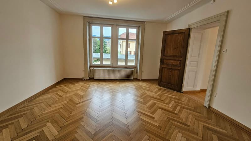Très grand appartement de 3,5 pièces avec terrasse de 48m2 (11)
