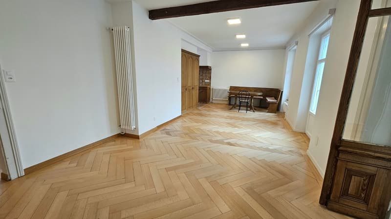Très grand appartement de 3,5 pièces avec terrasse de 48m2 (7)
