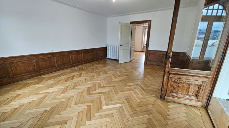 Très grand appartement de 3,5 pièces avec terrasse de 48m2 (10)