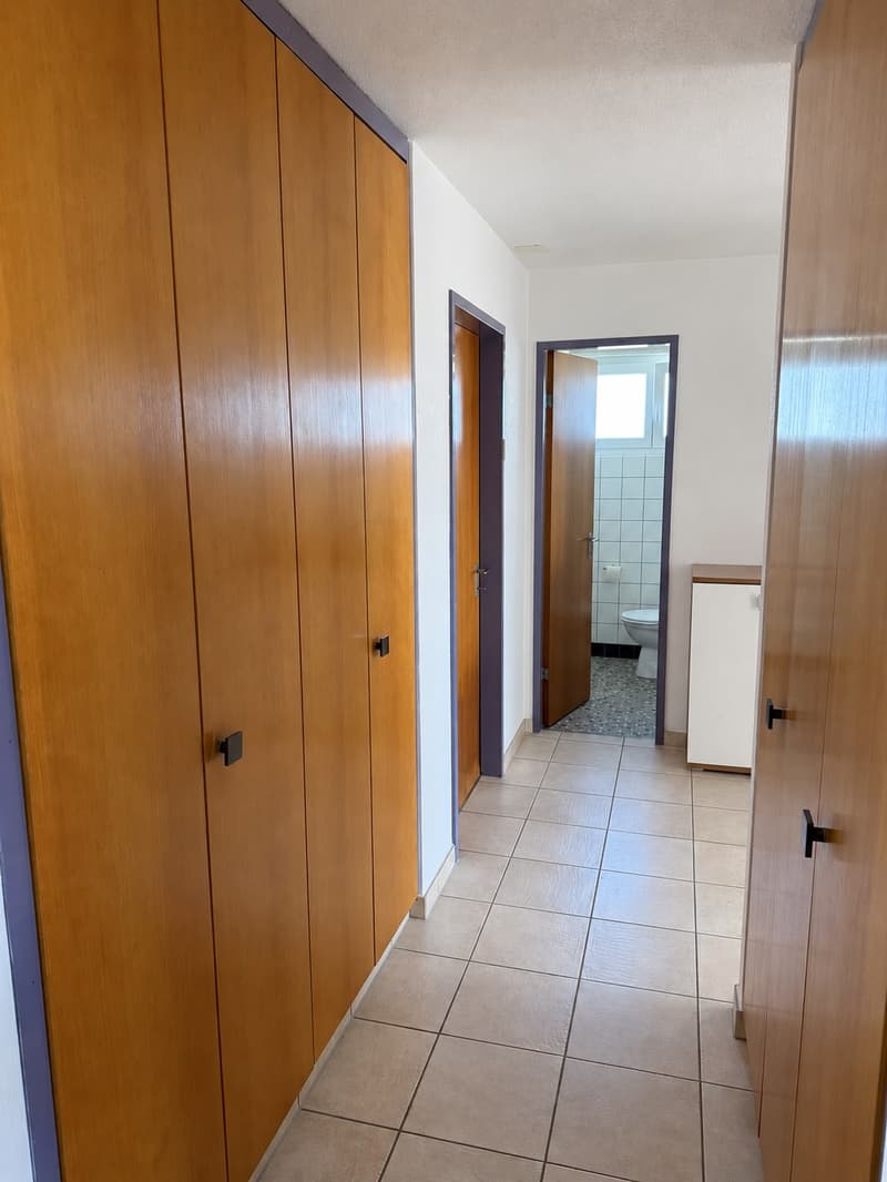 Bel et spacieux appartement de 4,5 pièces au 2e étage (14)