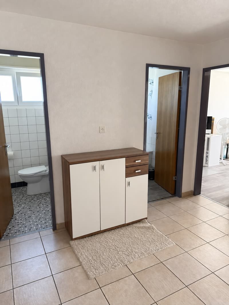 Bel et spacieux appartement de 4,5 pièces au 2e étage (9)
