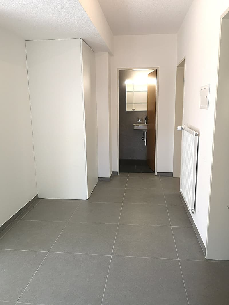 For sale in Moutier apartment with terrace, completely renovated in 2024 (5)