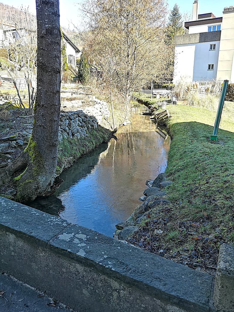 For sale in Moutier apartment with terrace, completely renovated in 2024 (16)