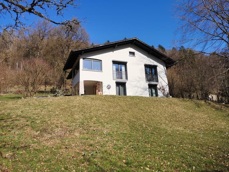 Baisse de prix : maison rénovée avec grand terrain, véranda, 2 terrasses, 2 garages (7)