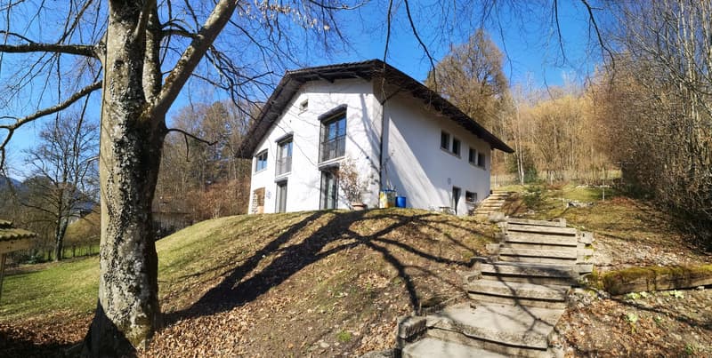 Baisse de prix : maison rénovée avec grand terrain, véranda, 2 terrasses, 2 garages (4)