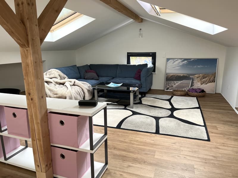 Baisse de prix : maison rénovée avec grand terrain, véranda, 2 terrasses, 2 garages (40)