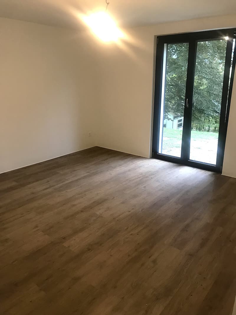 Baisse de prix : maison rénovée avec grand terrain, véranda, 2 terrasses, 2 garages (23)