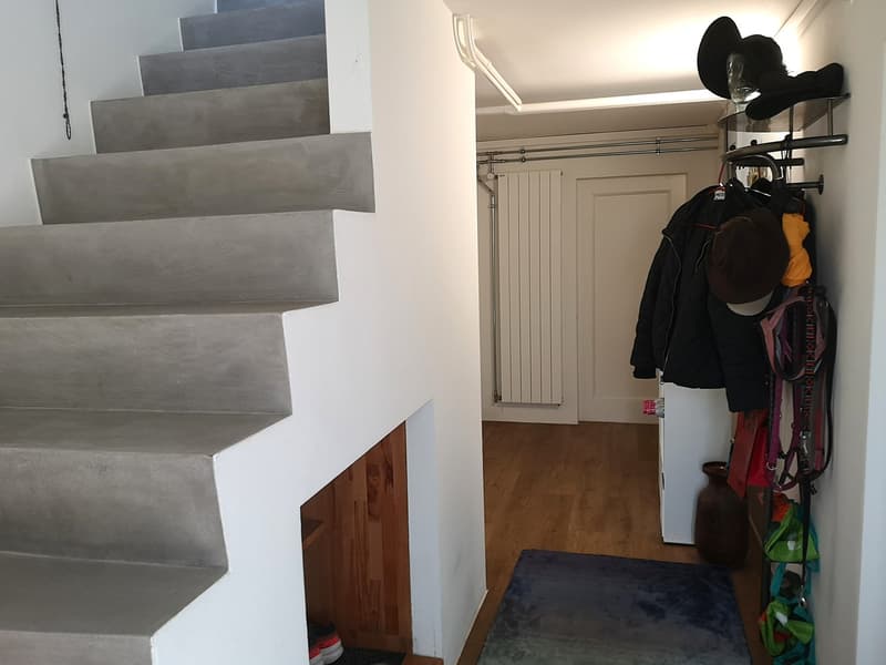 Baisse de prix : maison rénovée avec grand terrain, véranda, 2 terrasses, 2 garages (26)
