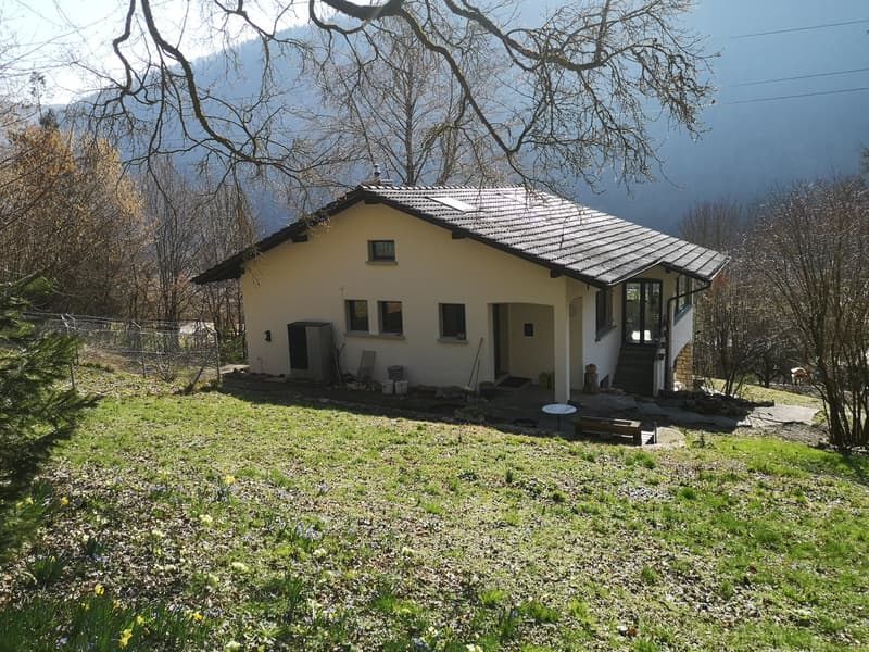 Baisse de prix : maison rénovée avec grand terrain, véranda, 2 terrasses, 2 garages (6)