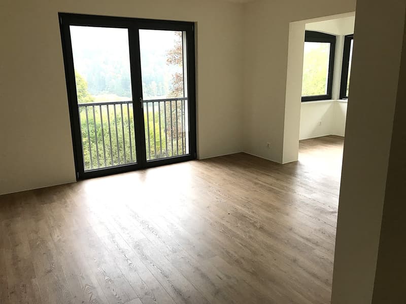 Baisse de prix : maison rénovée avec grand terrain, véranda, 2 terrasses, 2 garages (32)