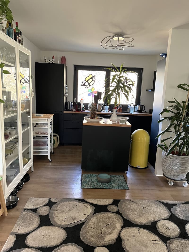 Baisse de prix : maison rénovée avec grand terrain, véranda, 2 terrasses, 2 garages (29)