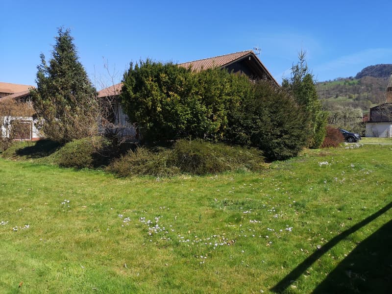 Grande maison 5.5pces, env. 120m2, terrain 802m2, avec garage, places de parc, terrasse, bûcher (5)