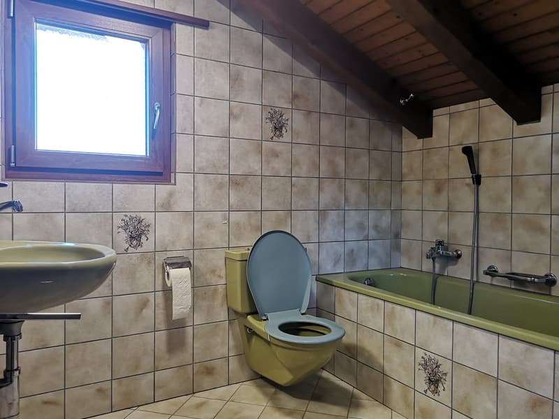 Grande maison 5.5pces, env. 120m2, terrain 802m2, avec garage, places de parc, terrasse, bûcher (31)