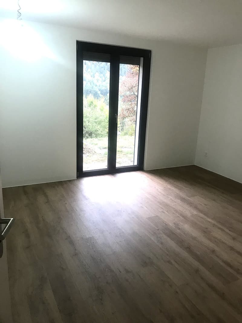 Baisse de prix : maison rénovée avec grand terrain, véranda, 2 terrasses, 2 garages (22)