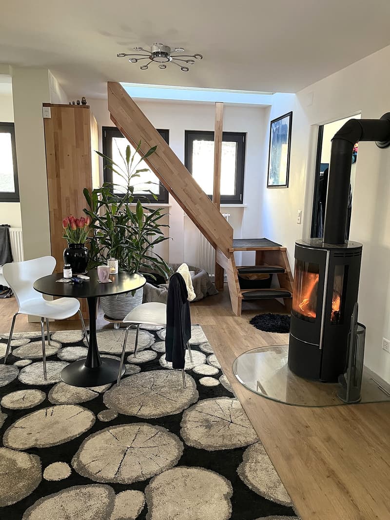 Baisse de prix : maison rénovée avec grand terrain, véranda, 2 terrasses, 2 garages (31)
