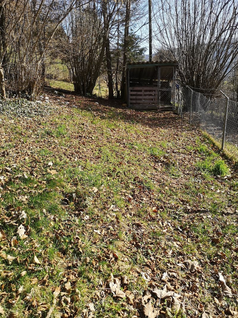 Baisse de prix : maison rénovée avec grand terrain, véranda, 2 terrasses, 2 garages (14)