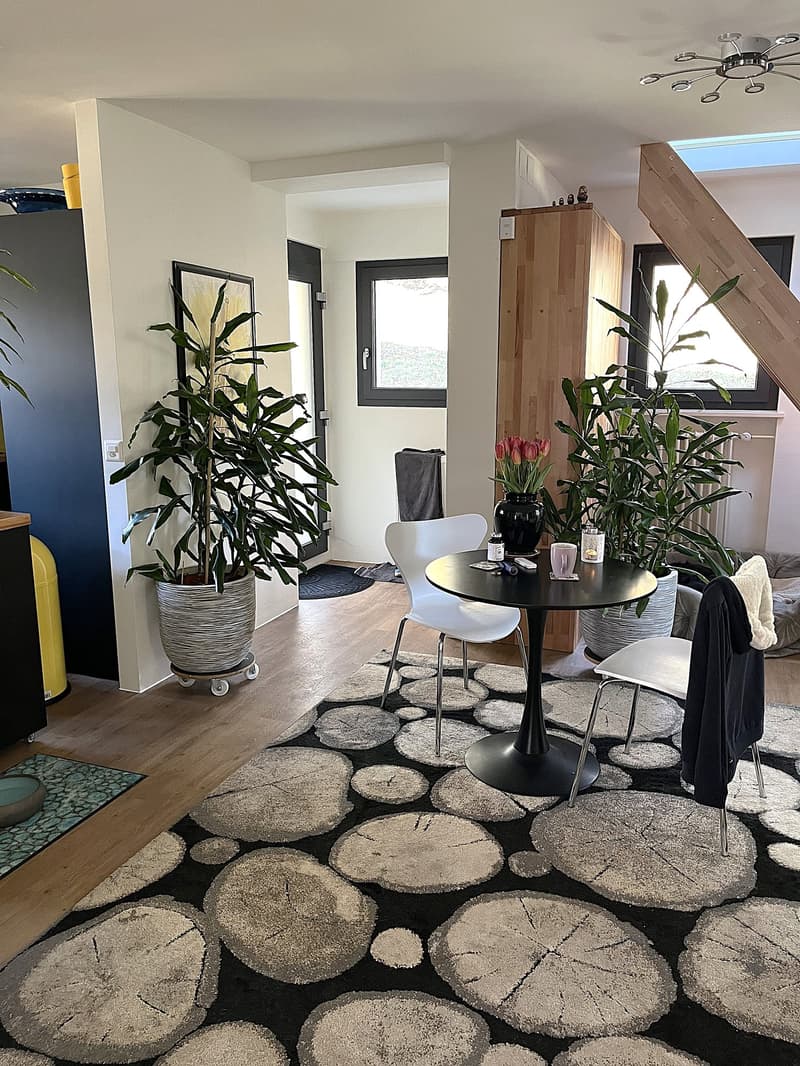 Baisse de prix : maison rénovée avec grand terrain, véranda, 2 terrasses, 2 garages (30)