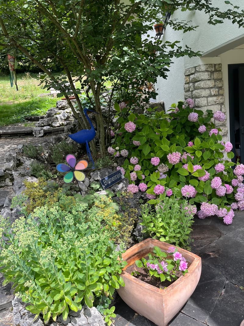 Baisse de prix : maison rénovée avec grand terrain, véranda, 2 terrasses, 2 garages (13)