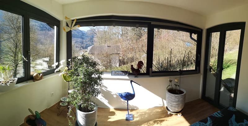 Baisse de prix : maison rénovée avec grand terrain, véranda, 2 terrasses, 2 garages (34)