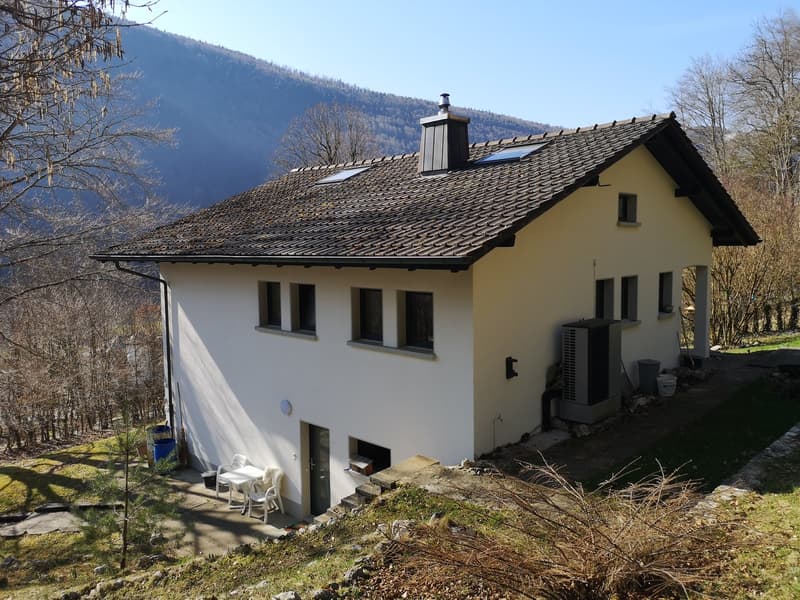 Baisse de prix : maison rénovée avec grand terrain, véranda, 2 terrasses, 2 garages (5)