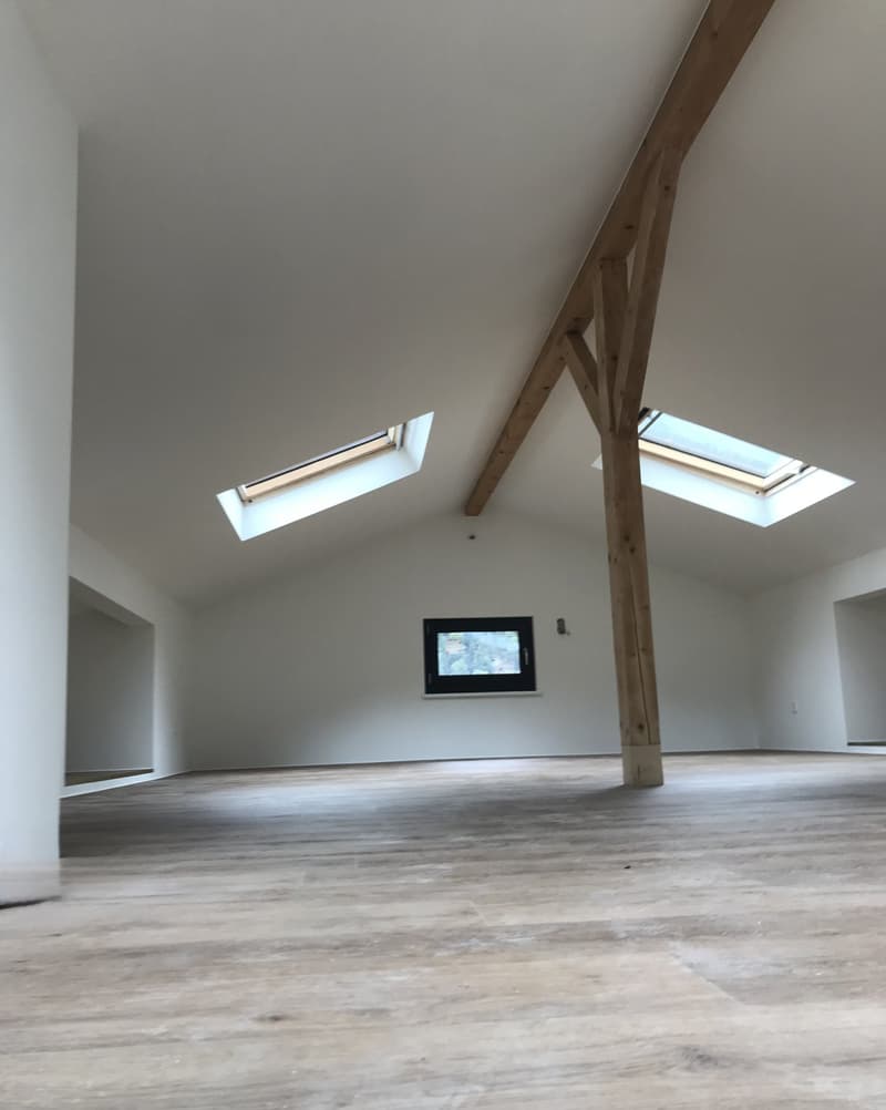 Baisse de prix : maison rénovée avec grand terrain, véranda, 2 terrasses, 2 garages (41)