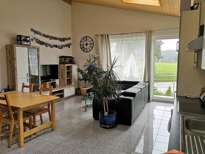 Price reduction: House with two rented apartments and one apartment for the owner (29)