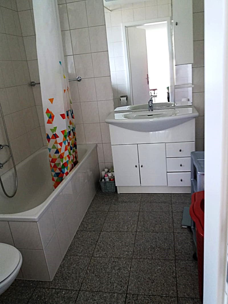 Price reduction: House with two rented apartments and one apartment for the owner (43)