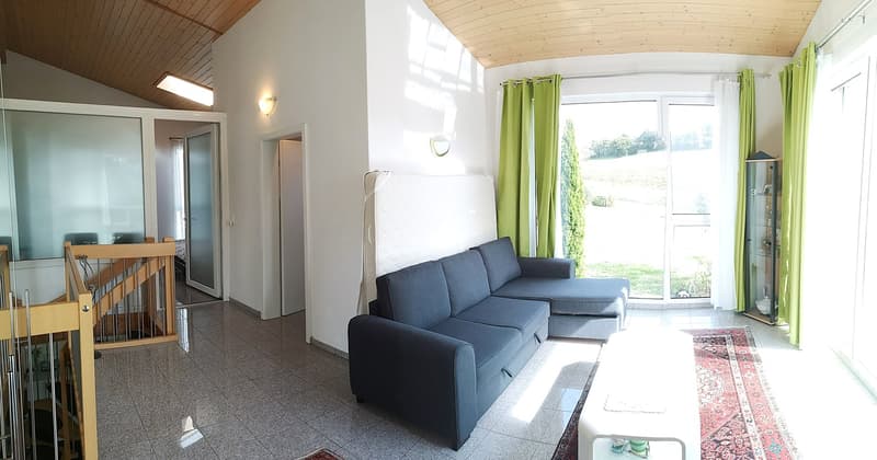 Price reduction: House with two rented apartments and one apartment for the owner (17)