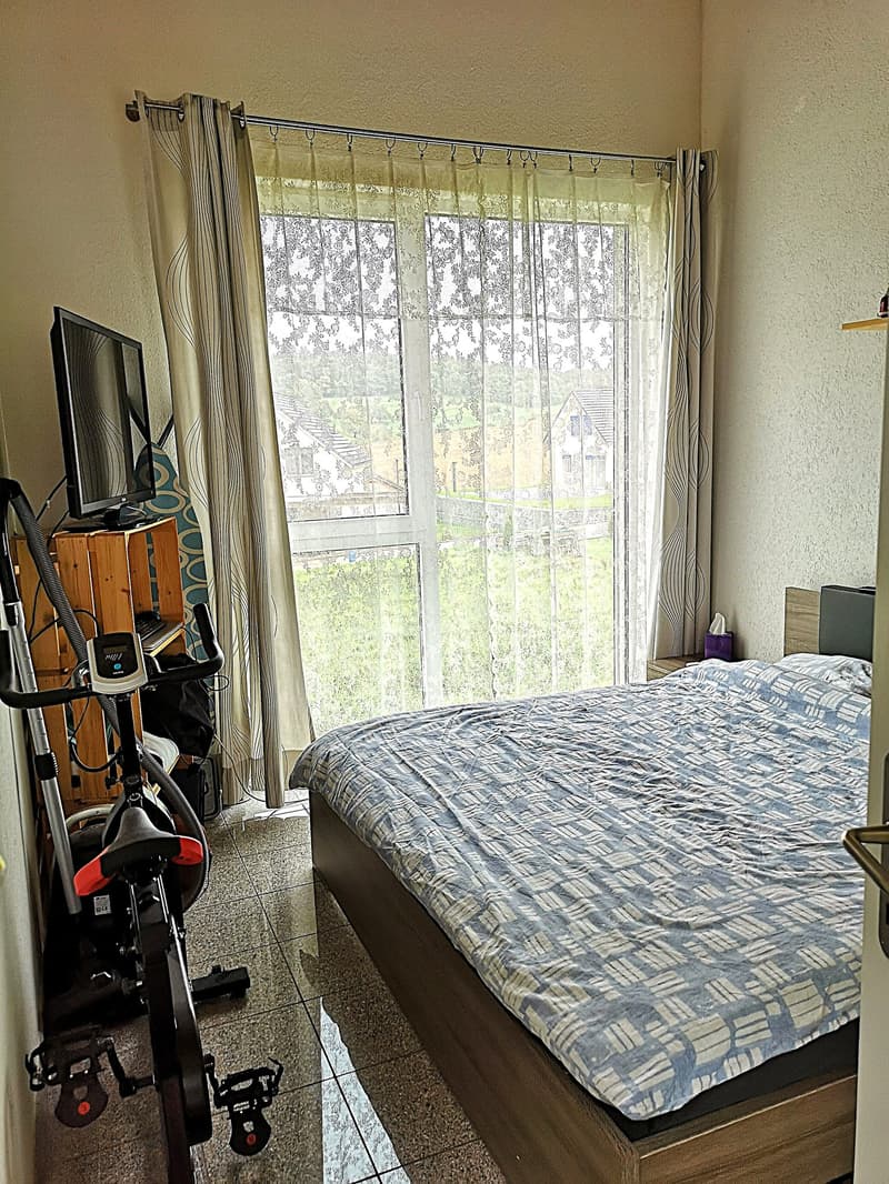 Price reduction: House with two rented apartments and one apartment for the owner (33)