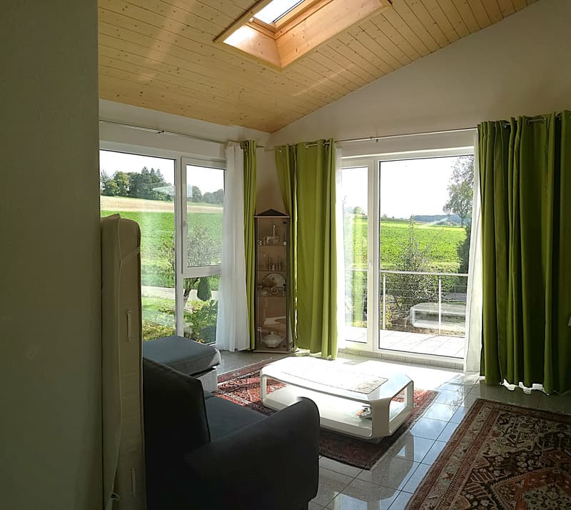 Price reduction: House with two rented apartments and one apartment for the owner (20)