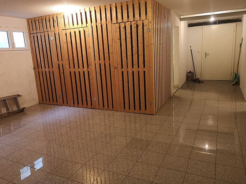 Price reduction: House with two rented apartments and one apartment for the owner (48)