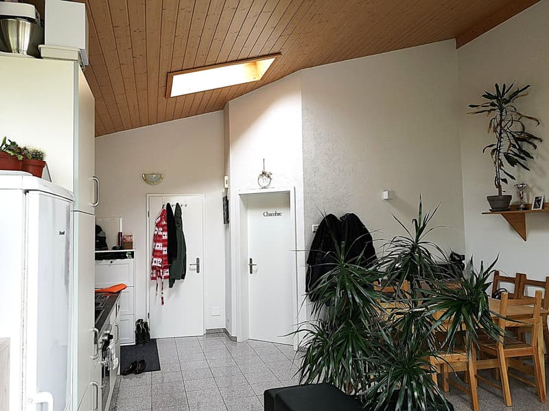Price reduction: House with two rented apartments and one apartment for the owner (31)