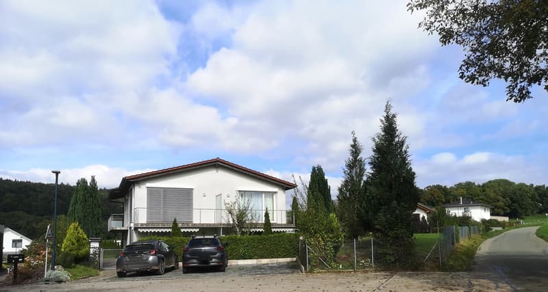 Price reduction: House with two rented apartments and one apartment for the owner (2)