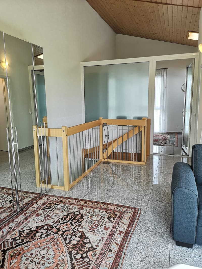Price reduction: House with two rented apartments and one apartment for the owner (18)