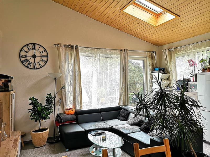 Price reduction: House with two rented apartments and one apartment for the owner (30)