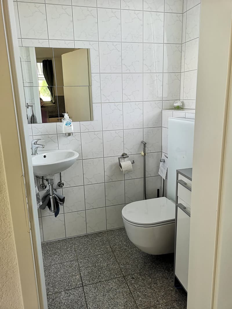 Price reduction: House with two rented apartments and one apartment for the owner (11)
