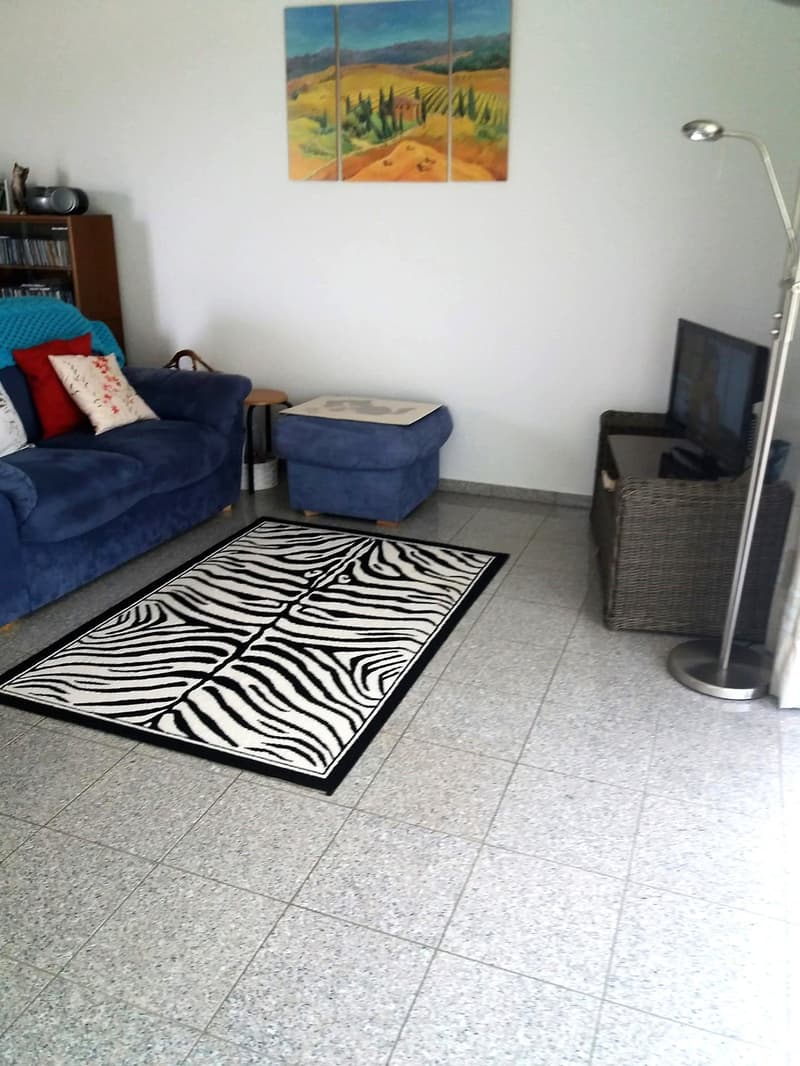Price reduction: House with two rented apartments and one apartment for the owner (41)