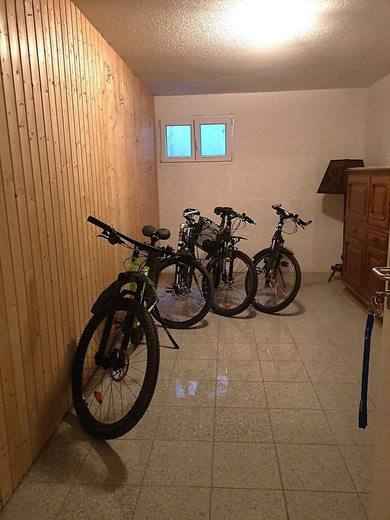 Price reduction: House with two rented apartments and one apartment for the owner (51)