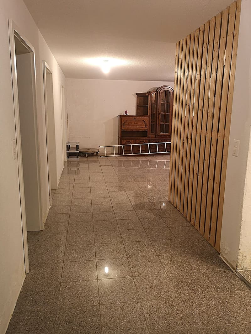 Price reduction: House with two rented apartments and one apartment for the owner (47)