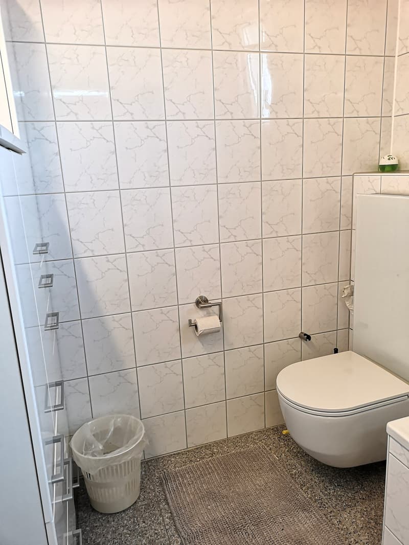 Price reduction: House with two rented apartments and one apartment for the owner (26)