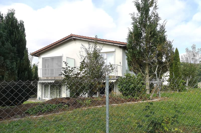 Price reduction: House with two rented apartments and one apartment for the owner (3)