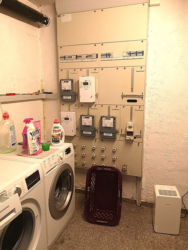 Price reduction: House with two rented apartments and one apartment for the owner (45)