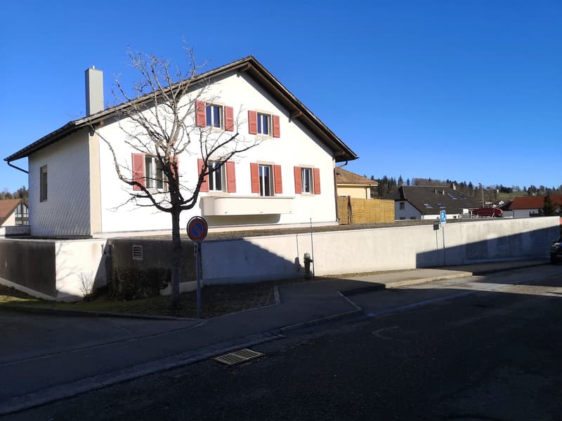 For sale large versatile area with warehouse, 3 parking spaces, 2 apartments (3)