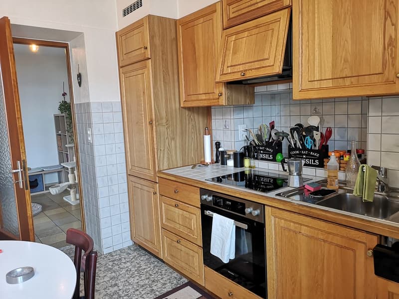 For sale: Building with large multipurpose area, 3 parking spaces, 2 apartments (16)