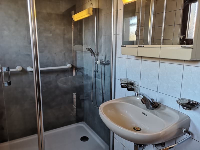 Grande maison 5.5pces, env. 120m2, terrain 802m2, avec garage, places de parc, terrasse, bûcher (20)