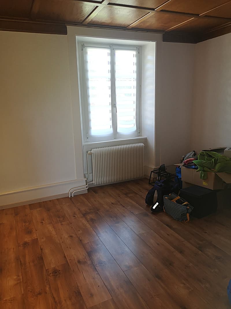 Grande casa familiare con 8,5 locali a Lajoux, possibilità di gestione di camere per gli ospiti (43)